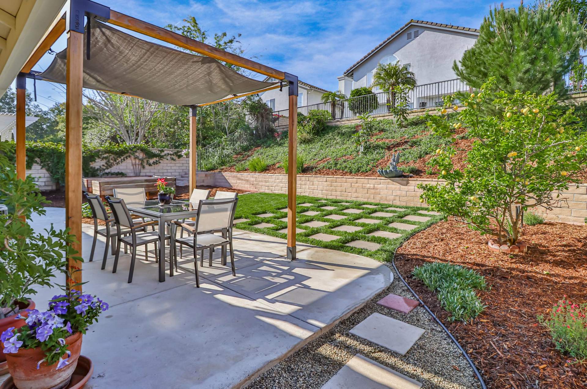 hBackyard6.jpg