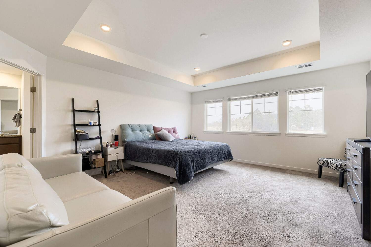 1110 Horsetail Lp - Web Quality - 022 - 14 Primary Bedroom.jpg