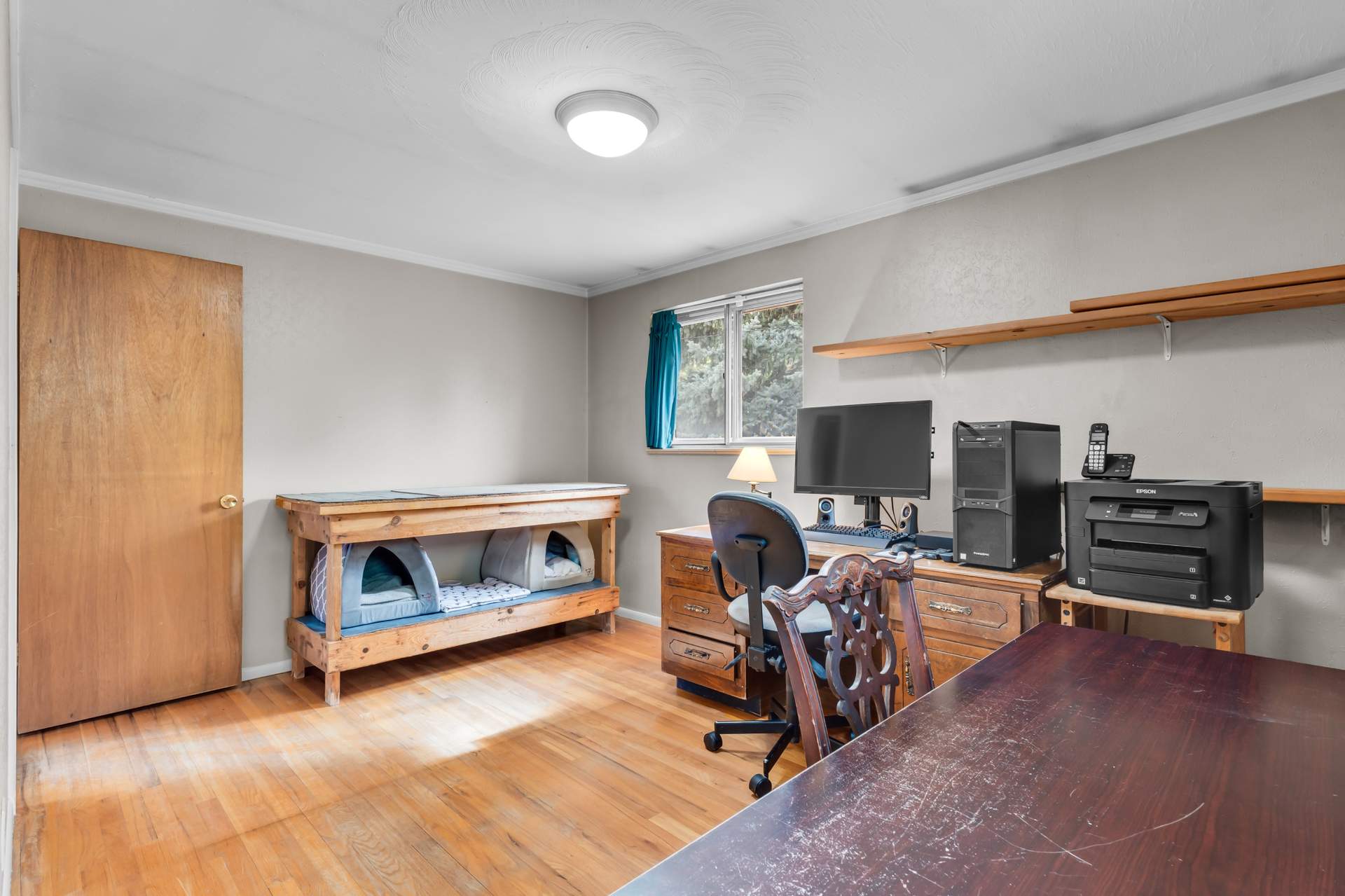 IMG_1984.jpeg