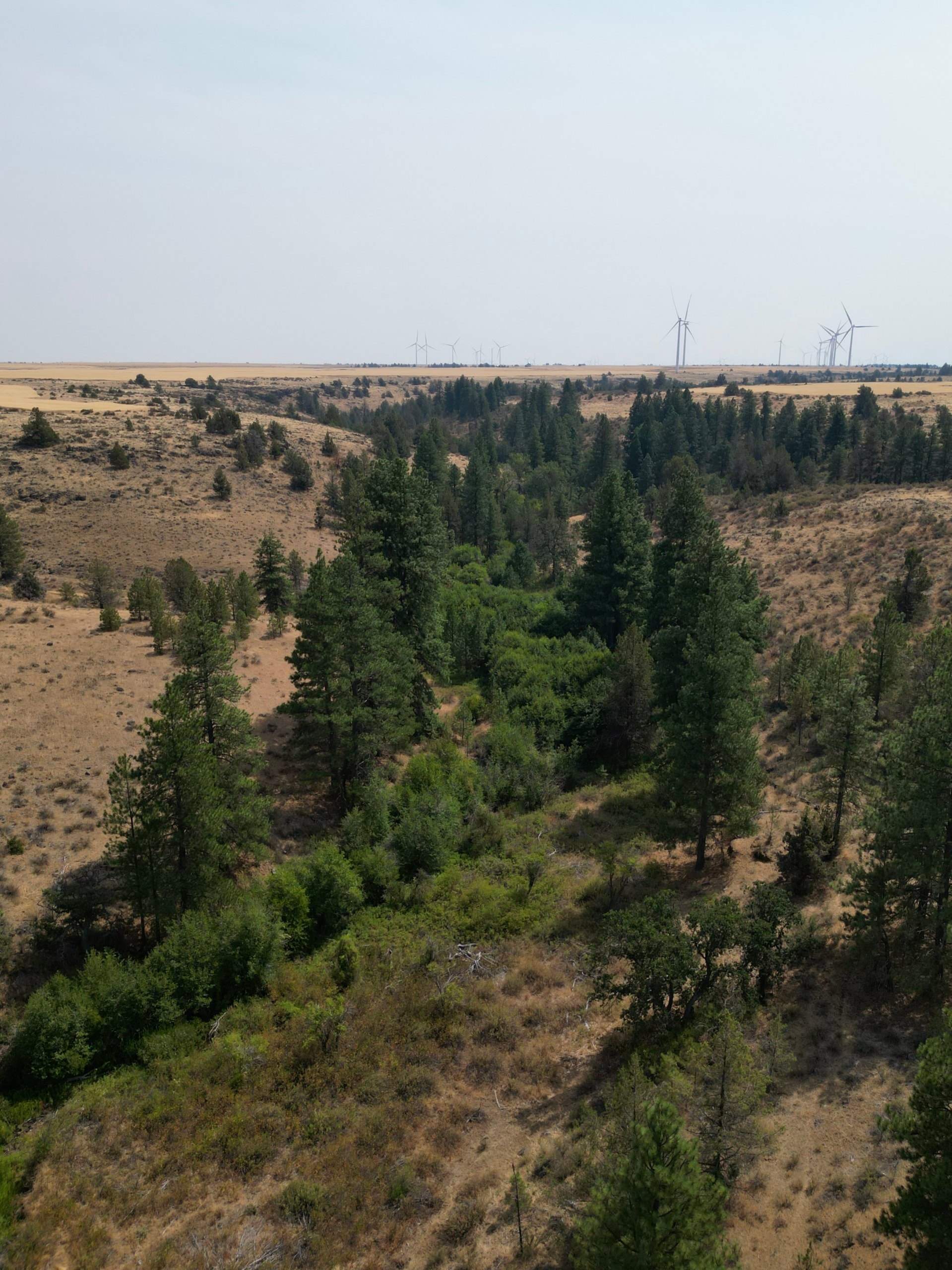 DJI_0414_2.jpg