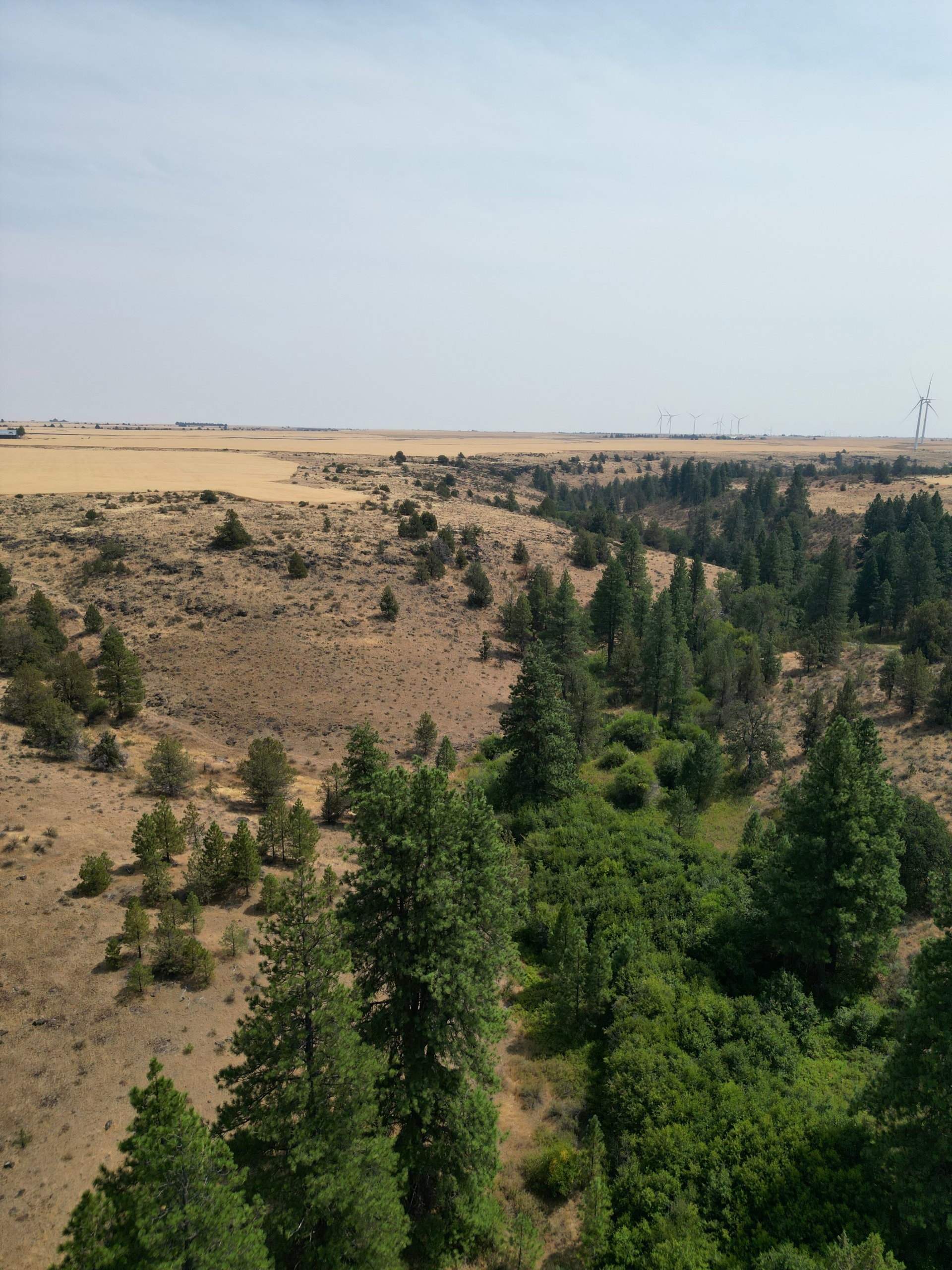 DJI_0416.jpg