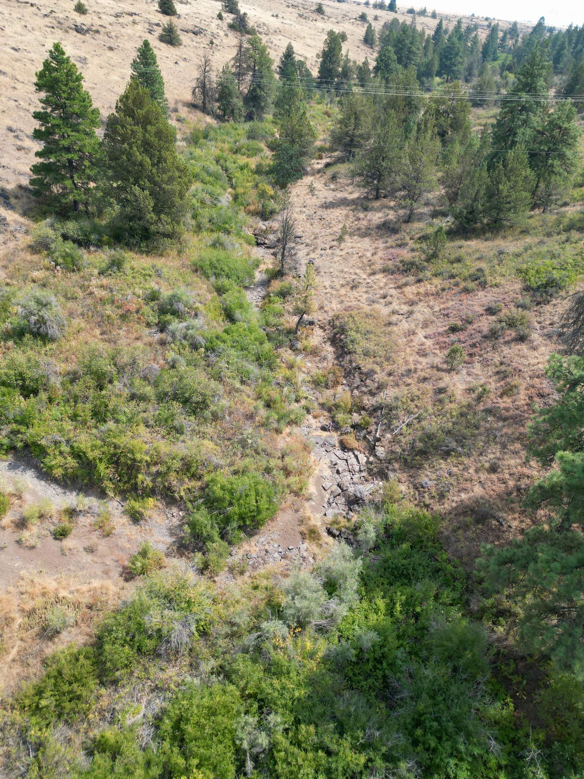 DJI_0399_1.jpg