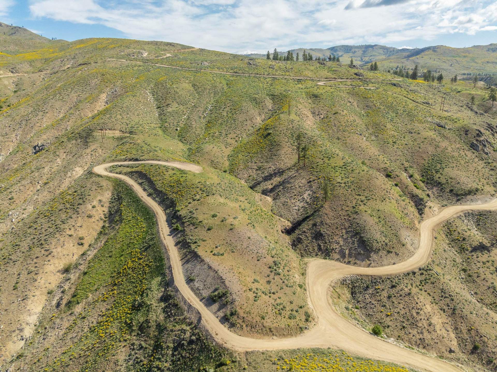 DJI_0081.jpg