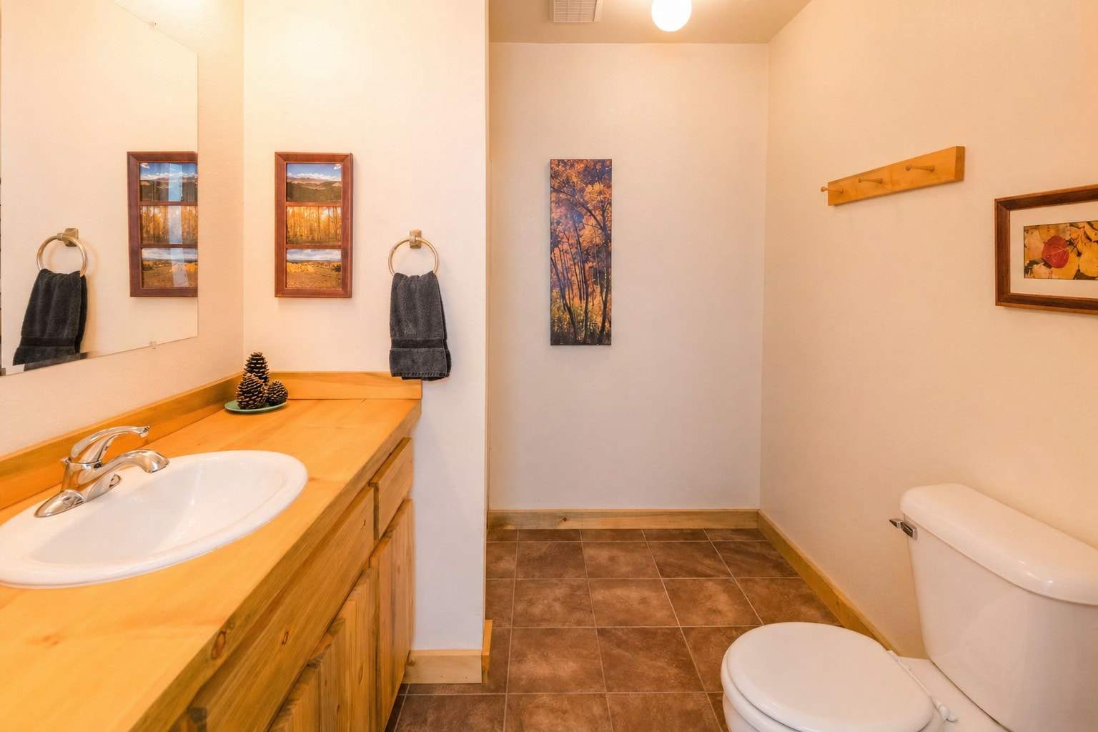 Downstairs_Bathroom.jpg