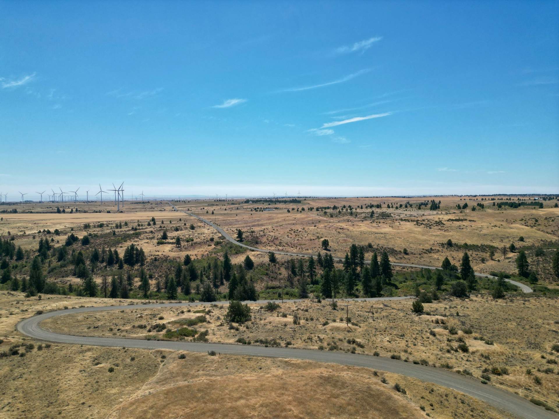 DJI_0362.jpg