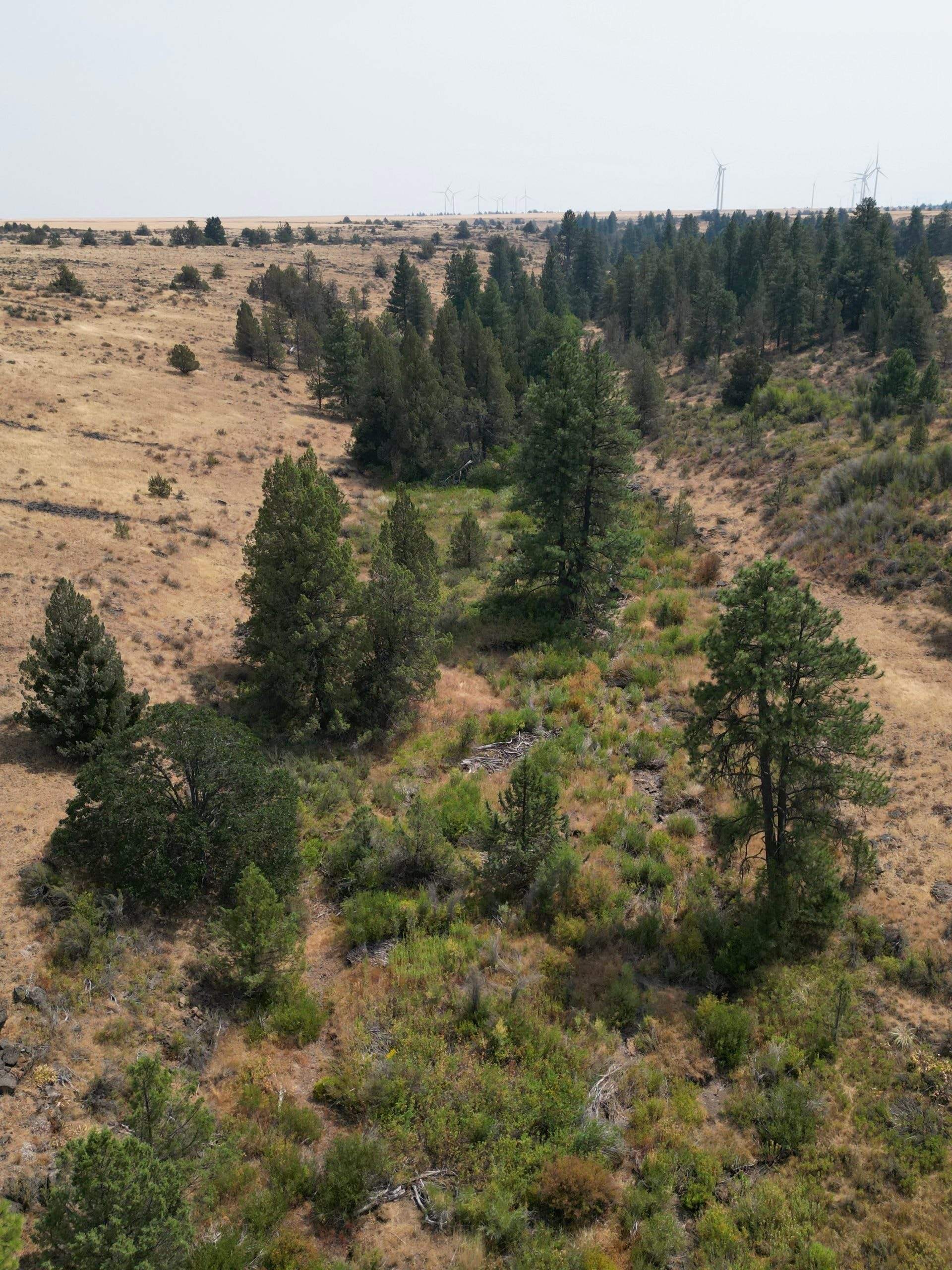 DJI_0404.jpg
