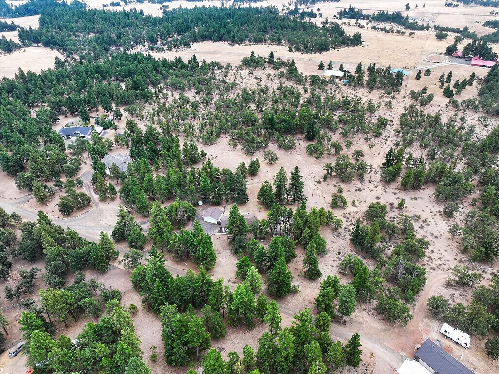 DJI_20260821165648_0178_D.jpg
