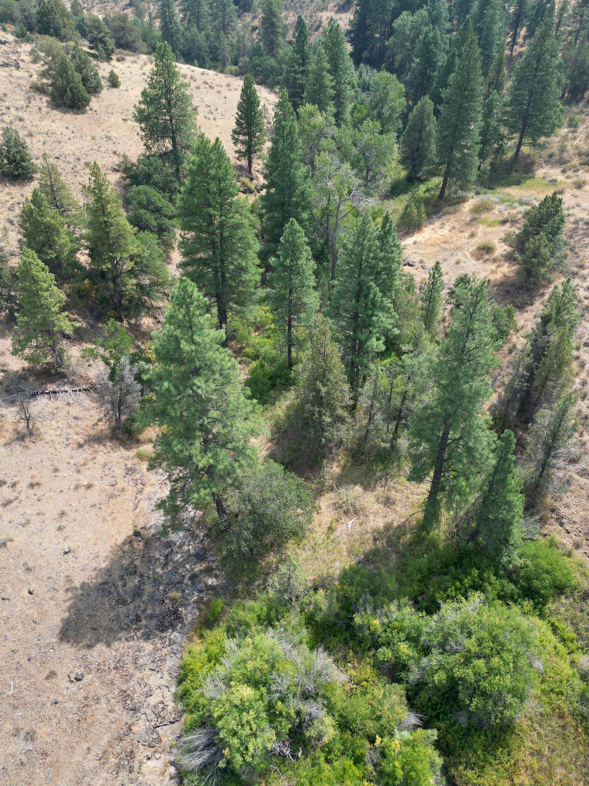 DJI_0418_1.jpg