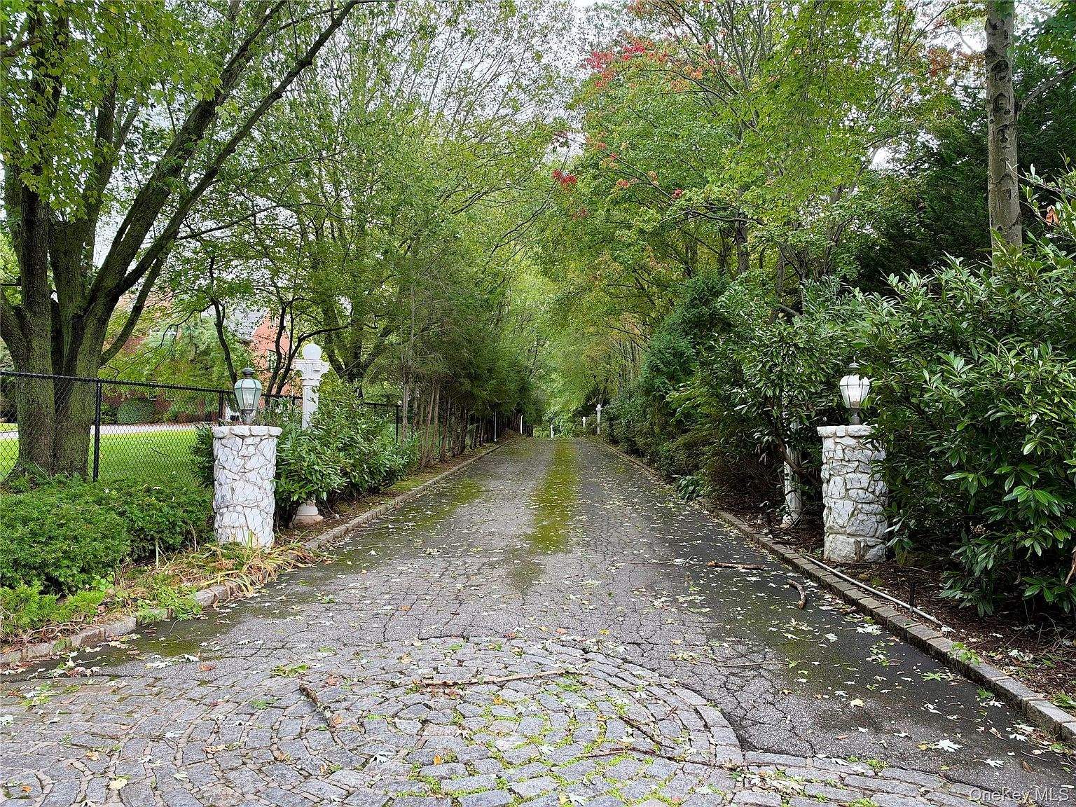 image_detail-photo-39.jpg