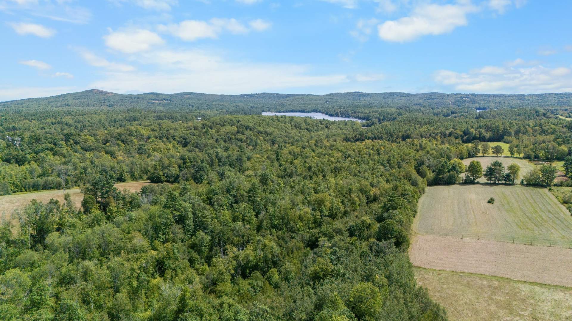 DJI_20250818095354_0963_D.jpg