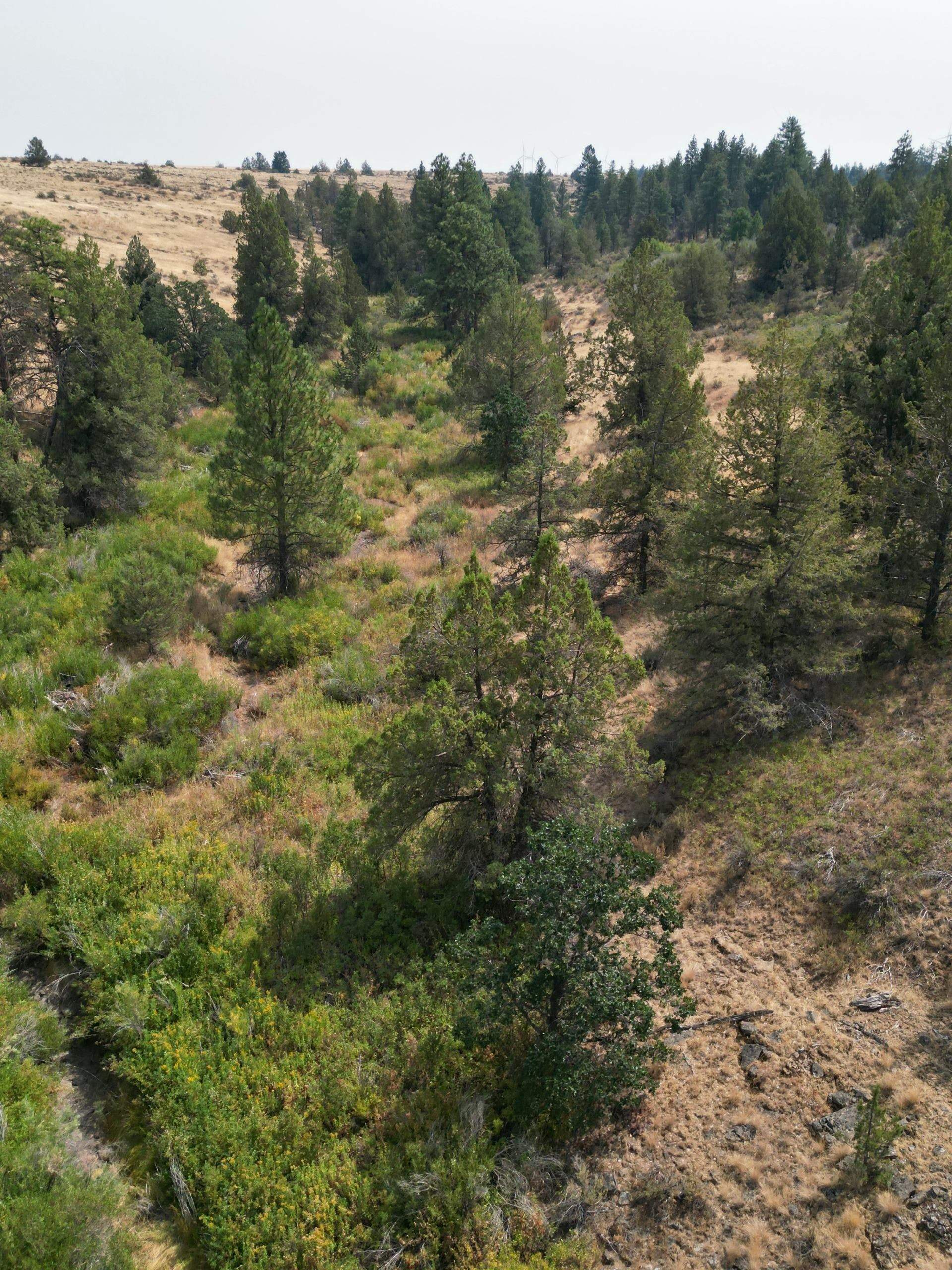 DJI_0403.jpg