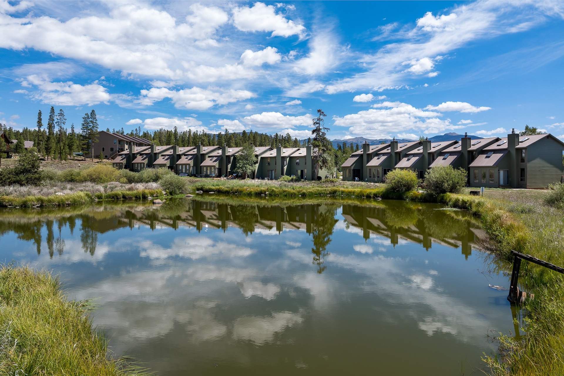 Pond_view_3.jpg
