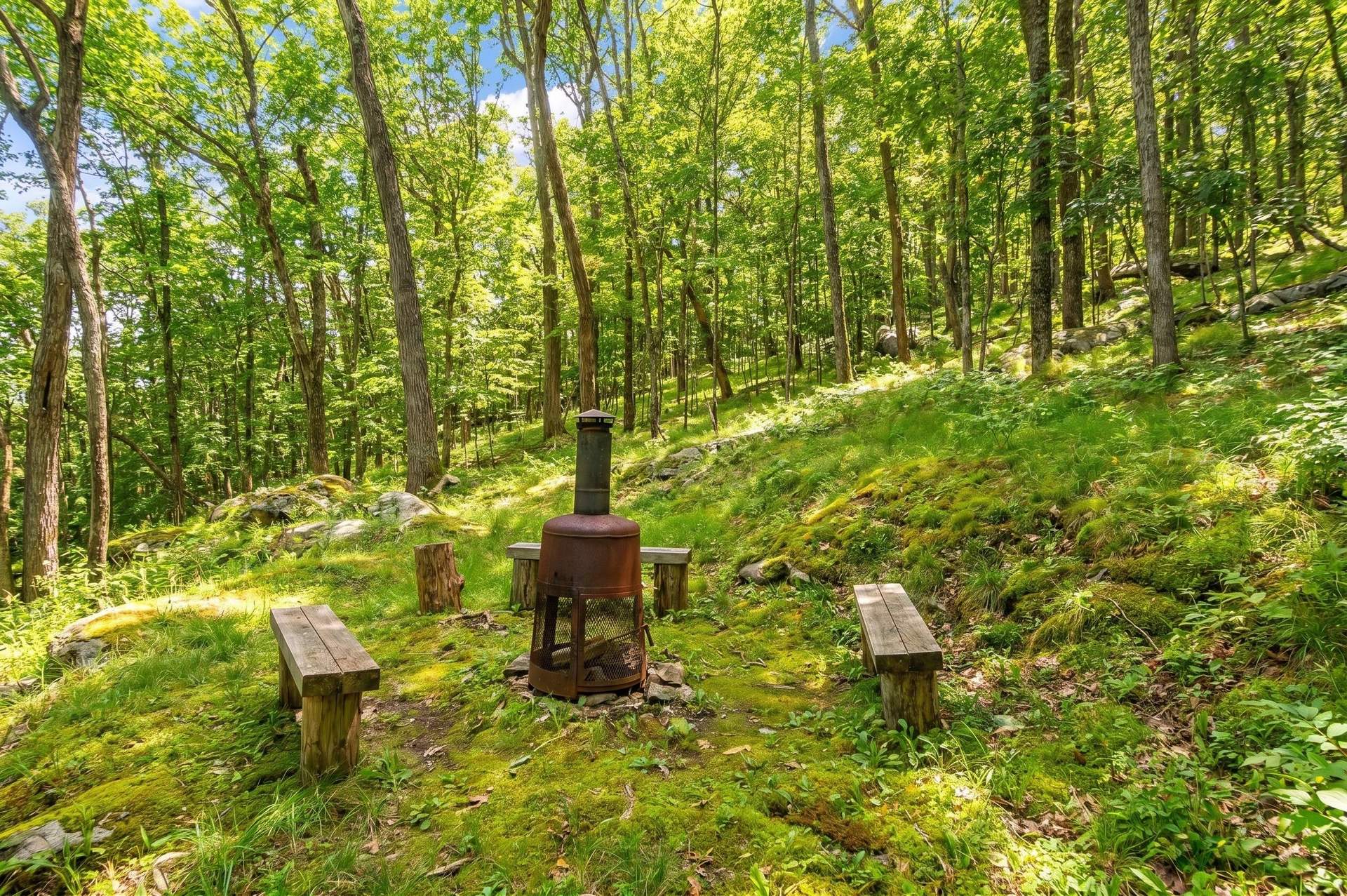 DSC_2752.jpg