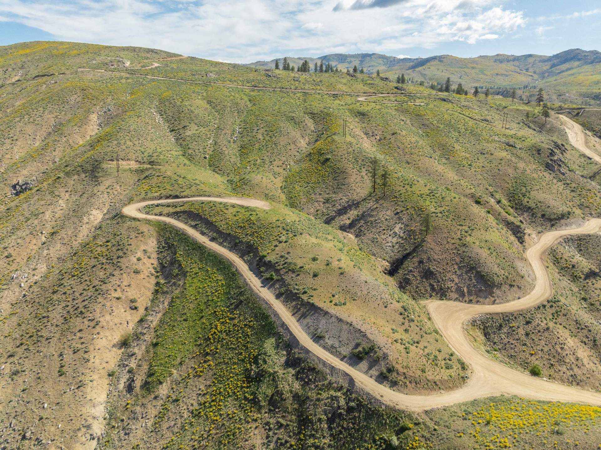 DJI_0080.jpg