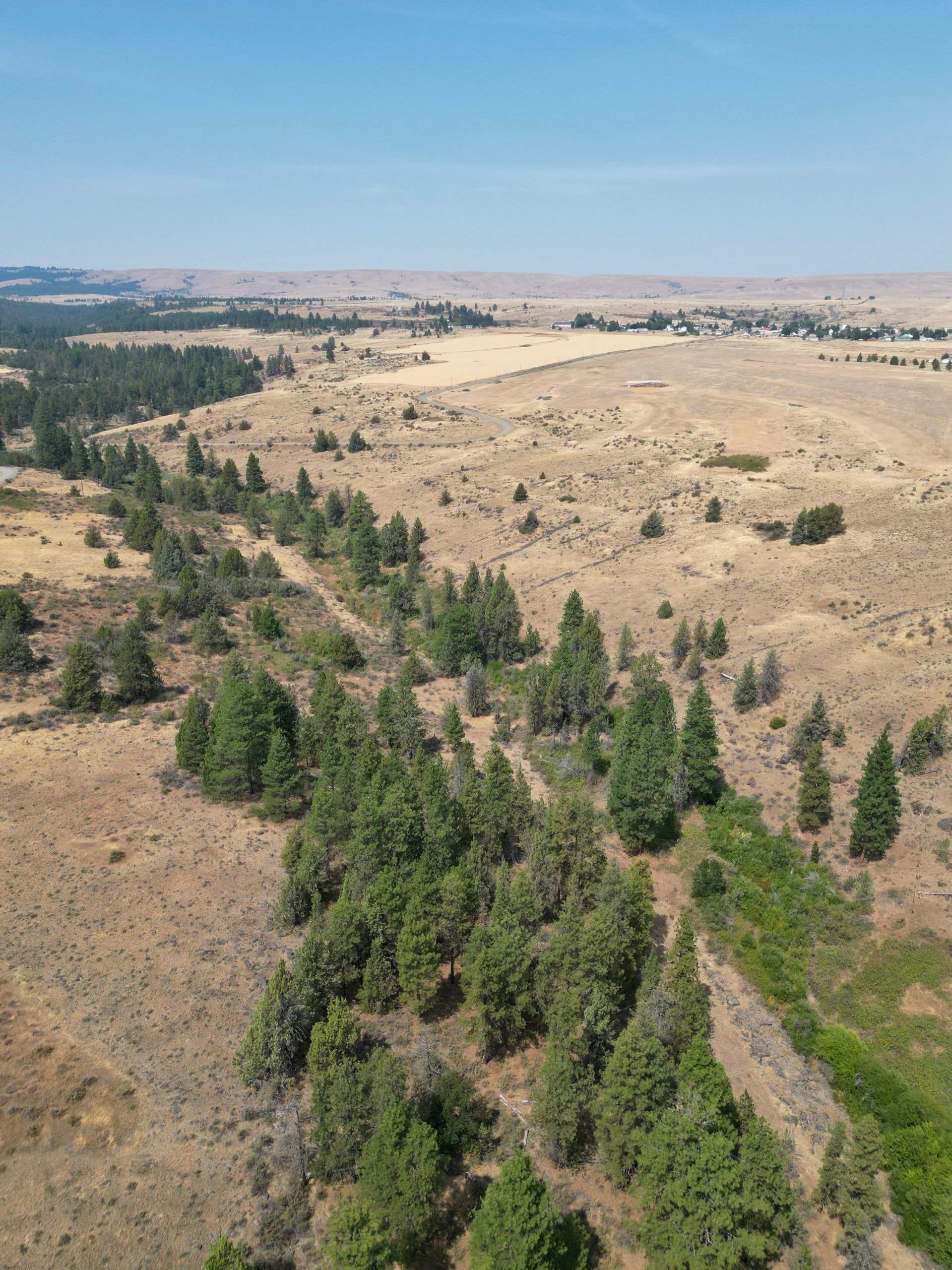 DJI_0420_2_1.jpg