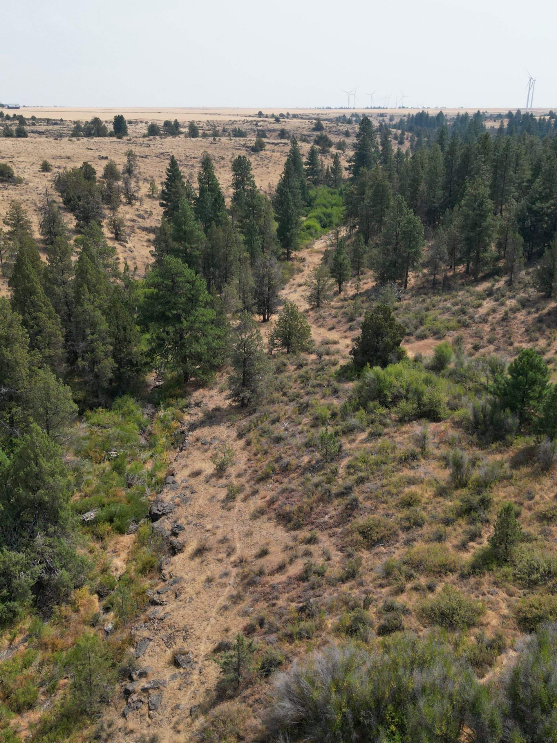 DJI_0405.jpg