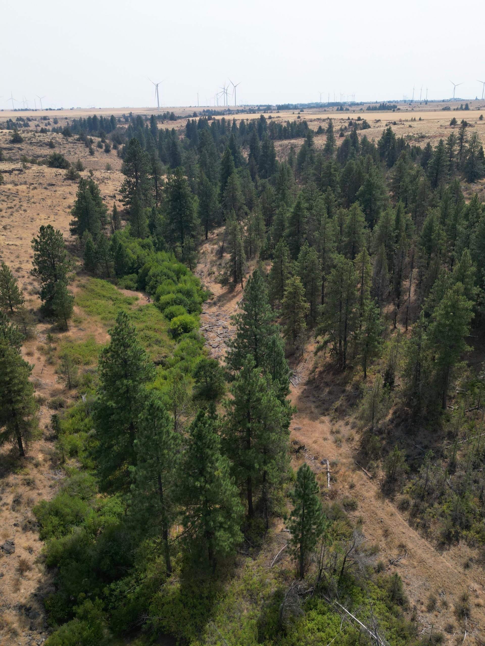 DJI_0408_1.jpg