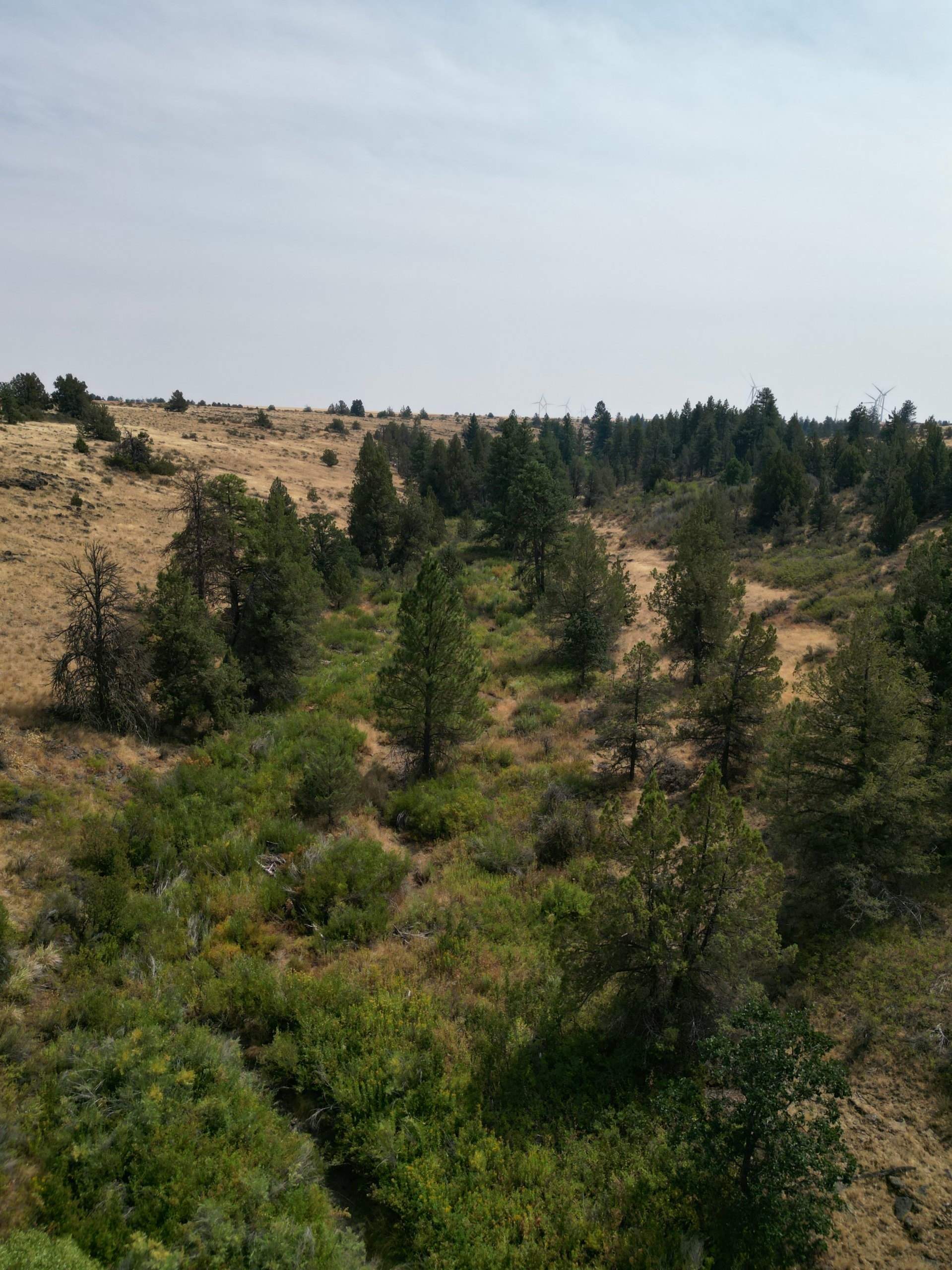 DJI_0401_1.jpg