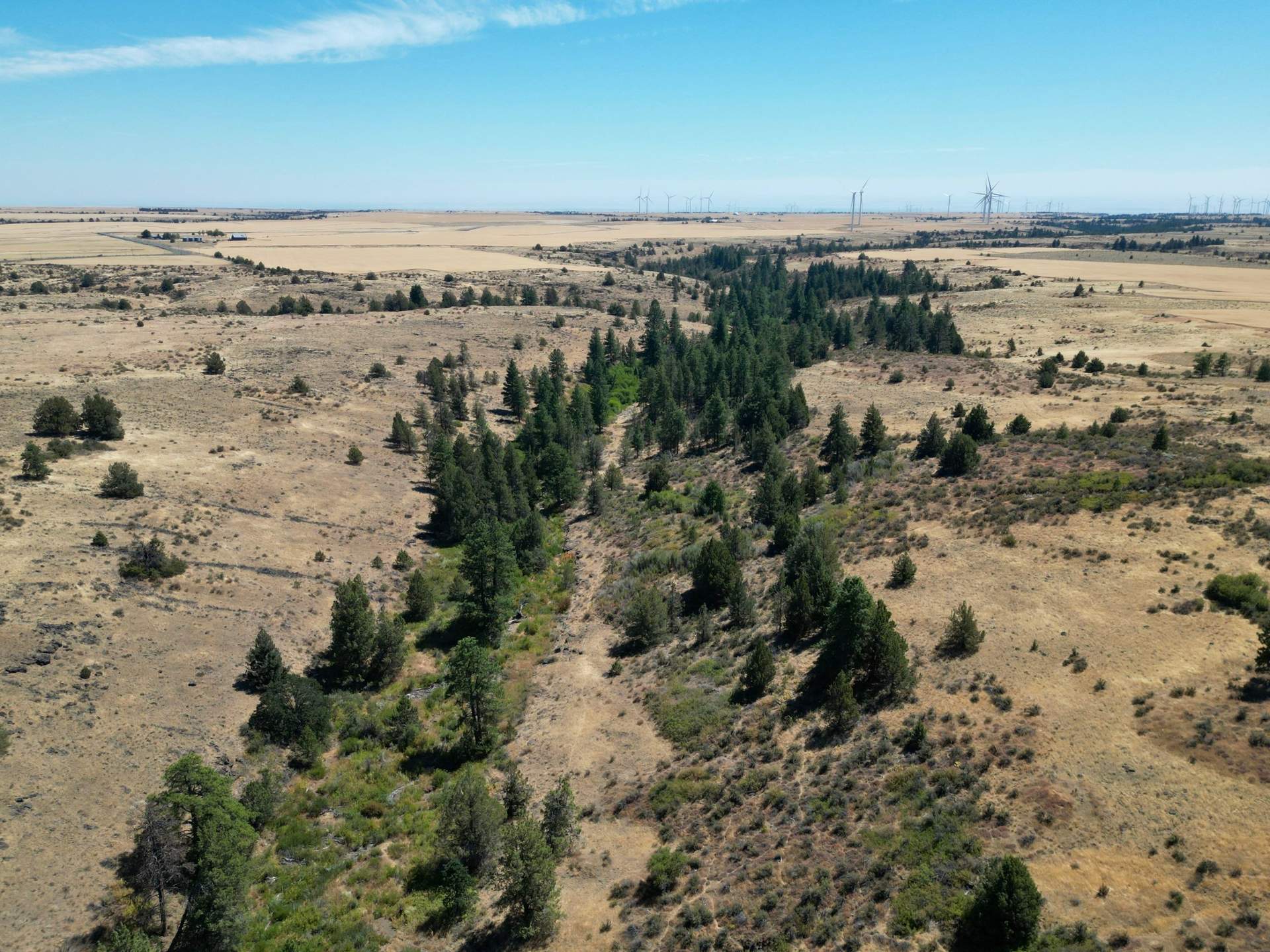 DJI_0364.jpg