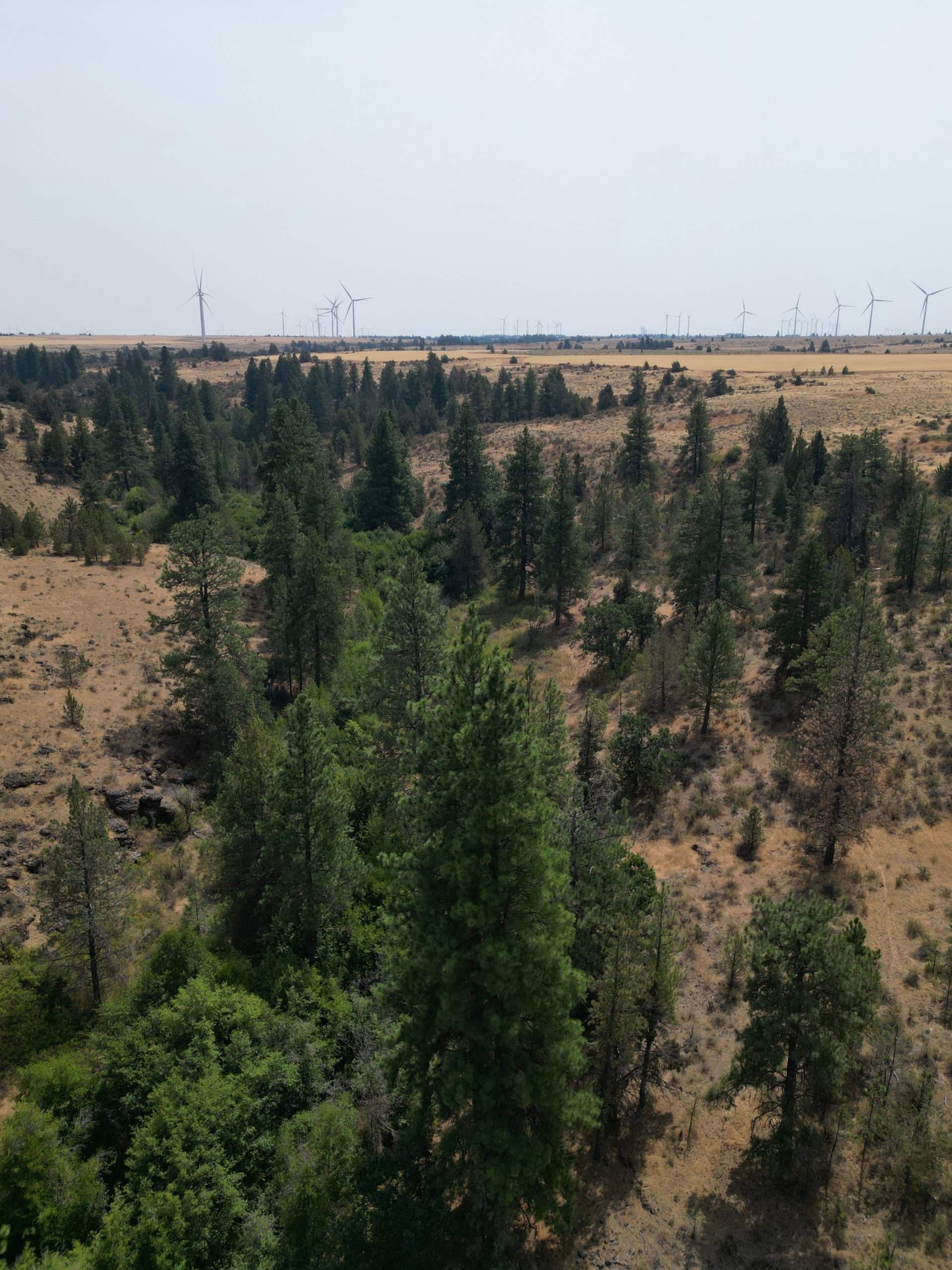 DJI_0413.jpg