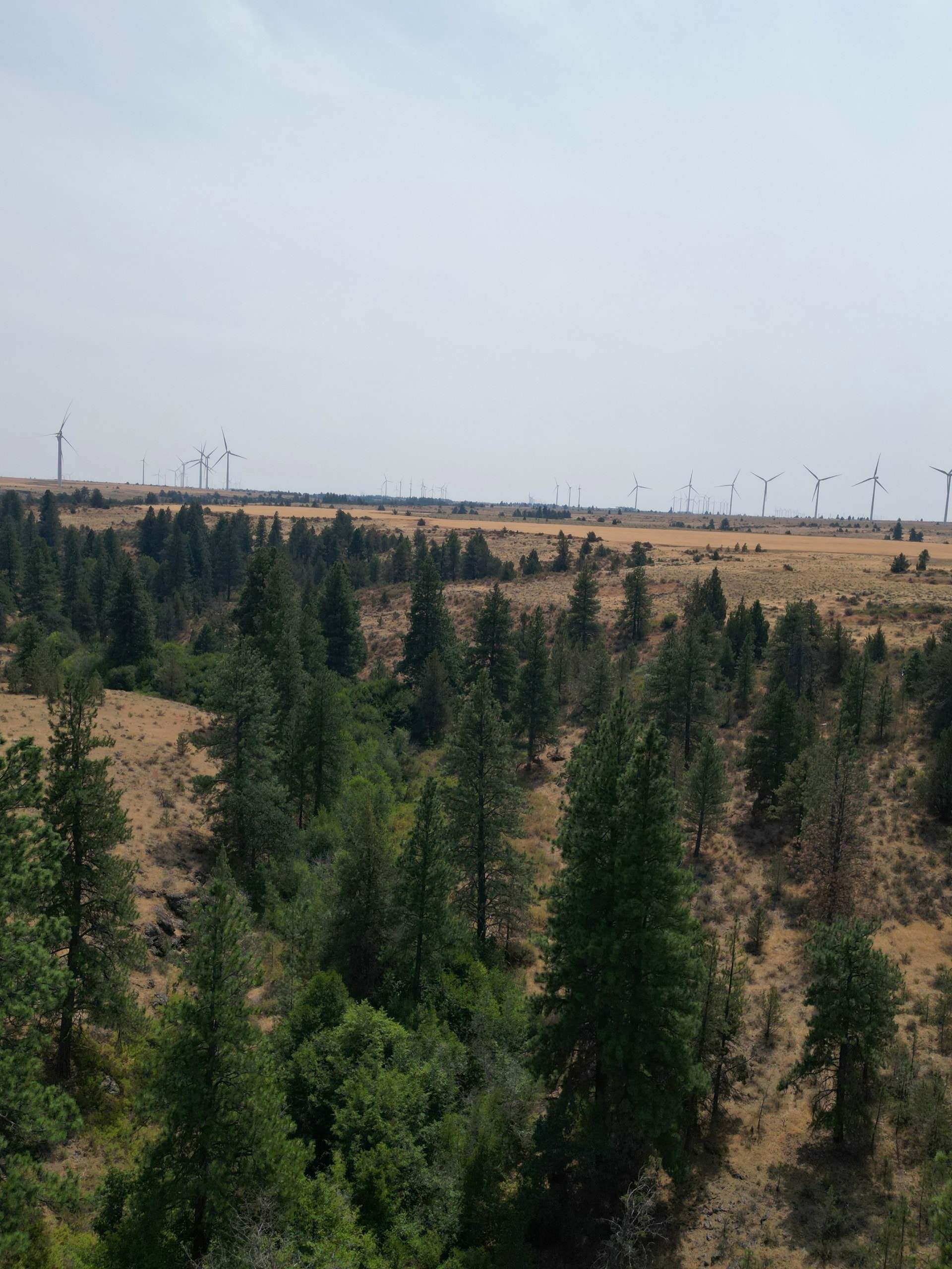 DJI_0411.jpg