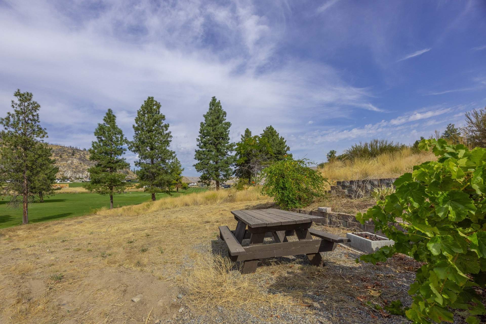 BG6A8064.jpg