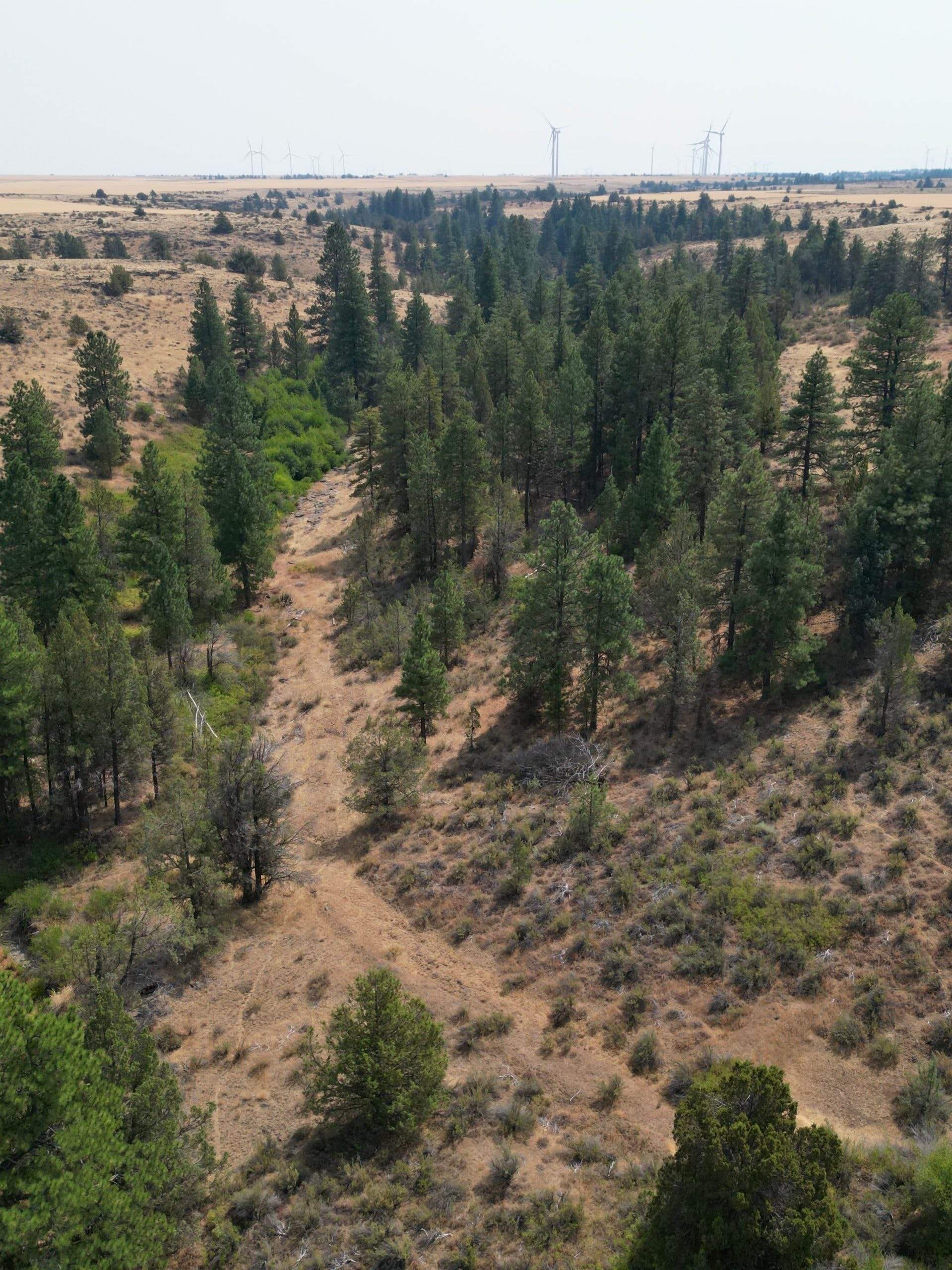 DJI_0406.jpg