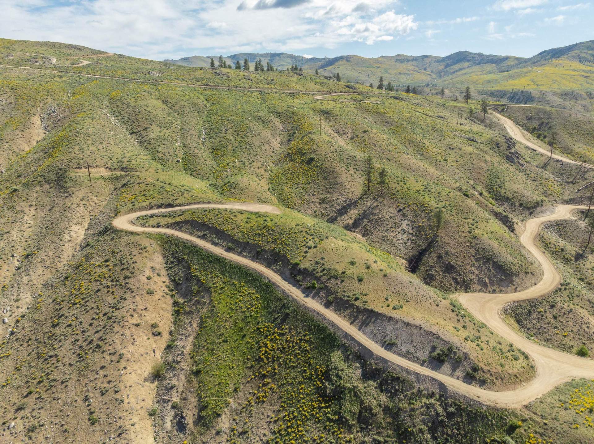 DJI_0079.jpg