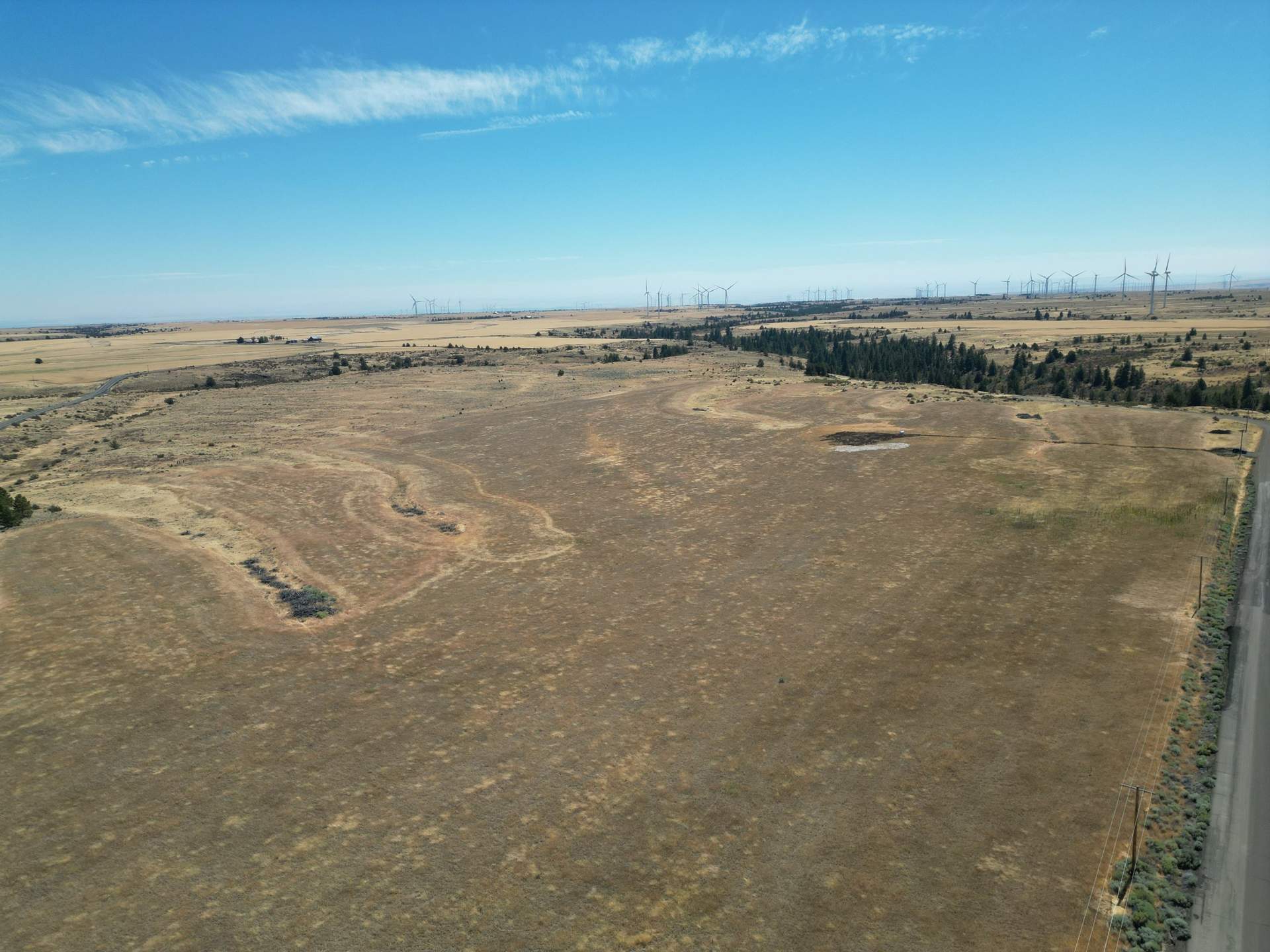 DJI_0384.jpg
