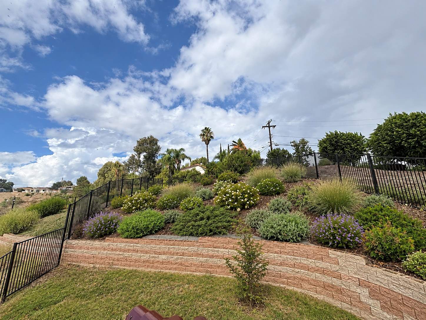 Drought-Tolerant_Hillsid.jpg