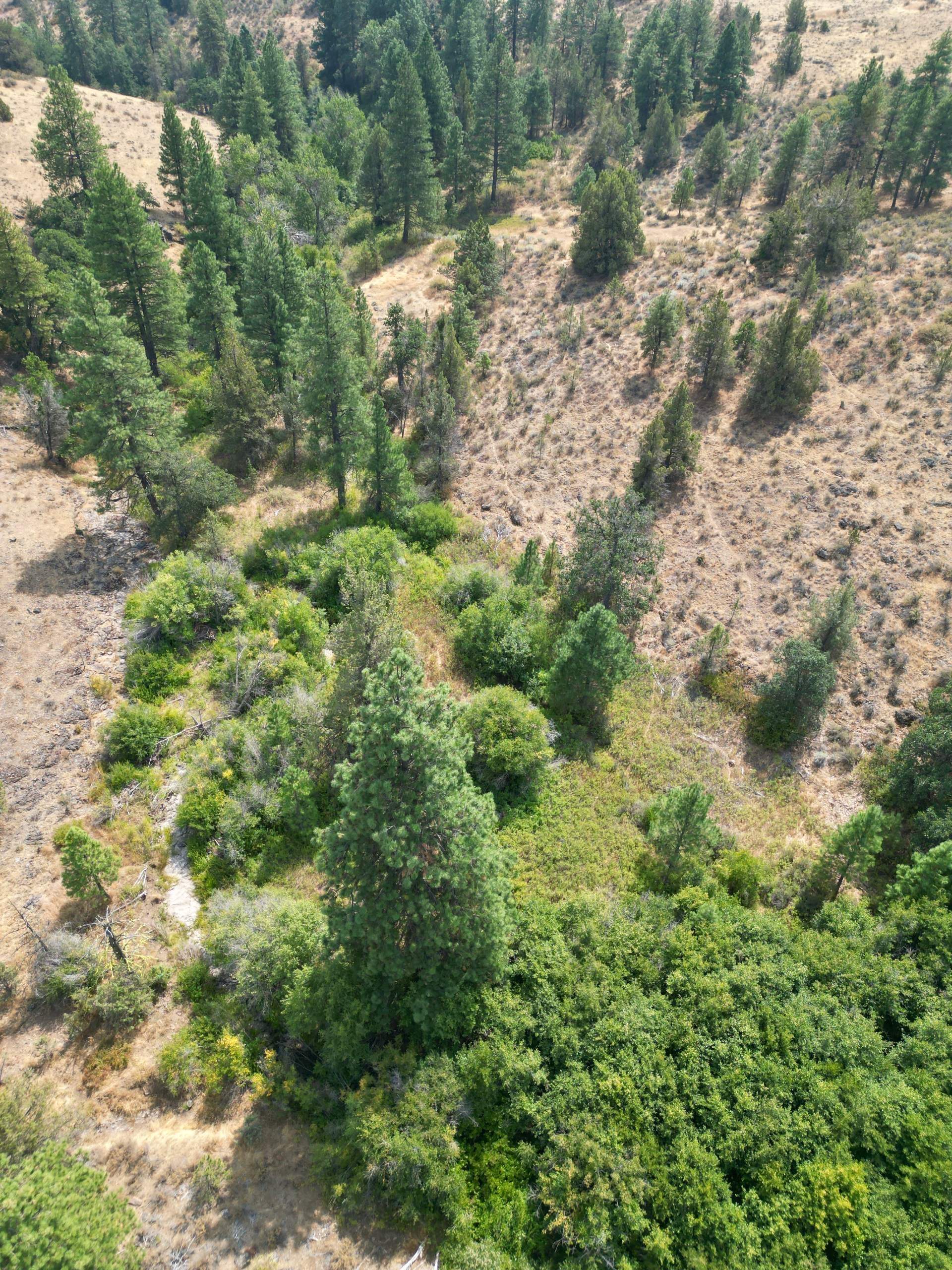 DJI_0417.jpg