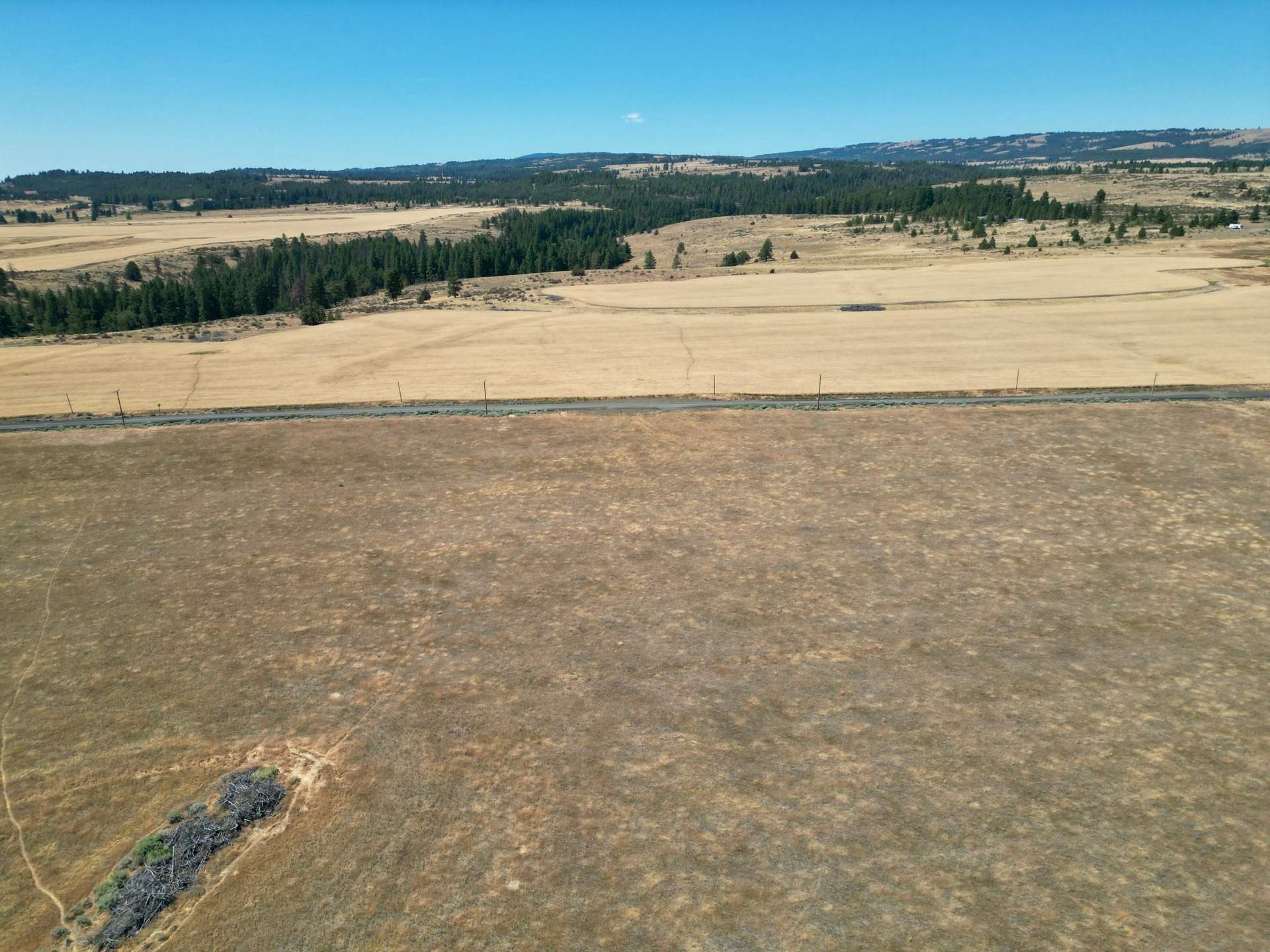 DJI_0381.jpg