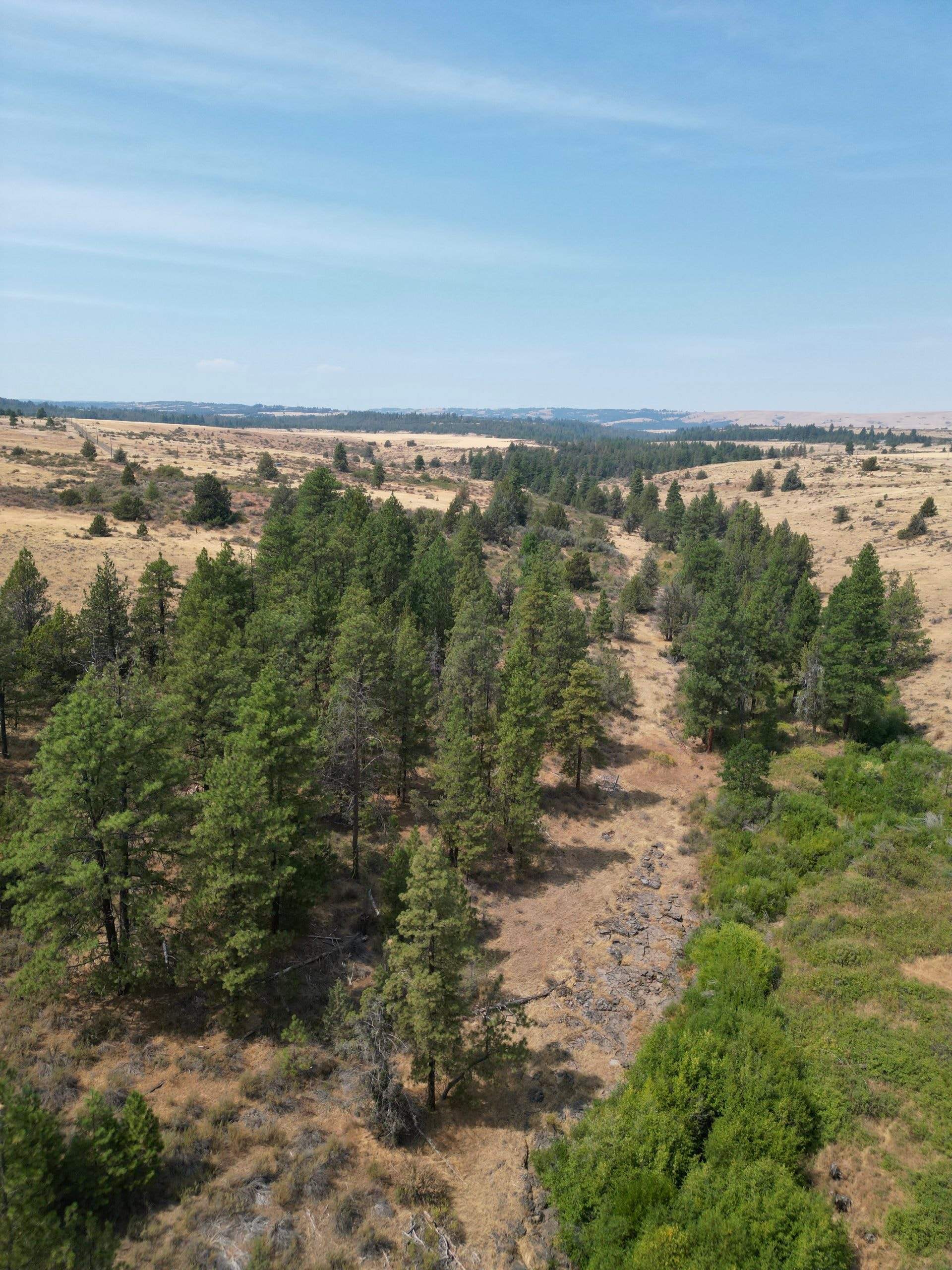 DJI_0412_1.jpg
