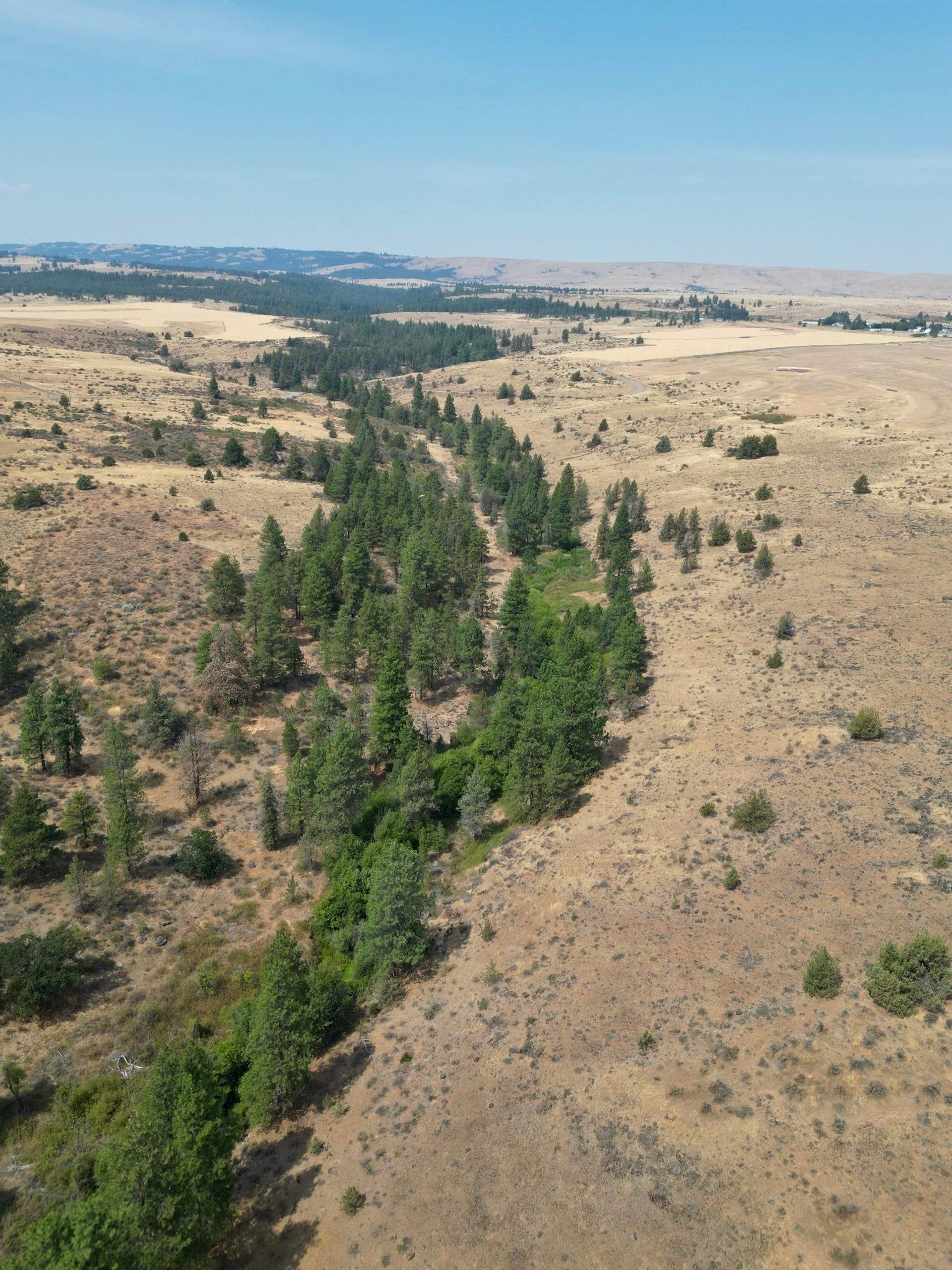 DJI_0419.jpg