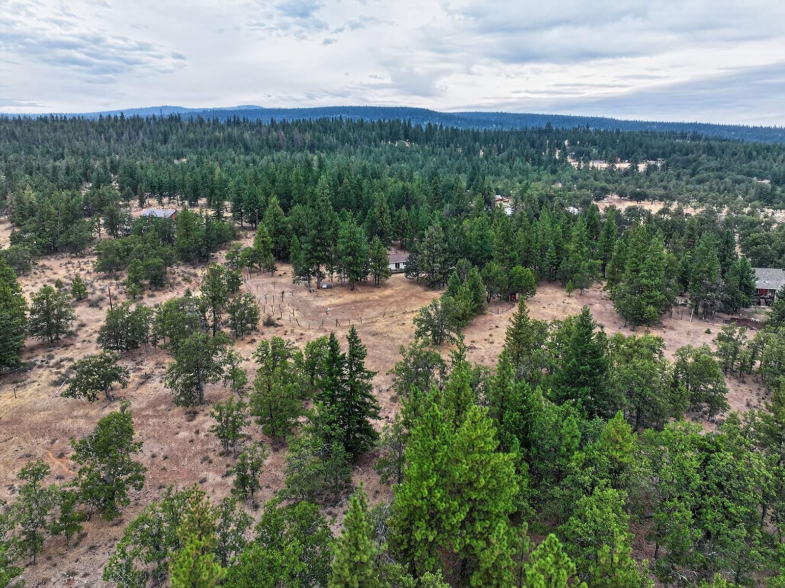 DJI_20260821165914_0184_D.jpg