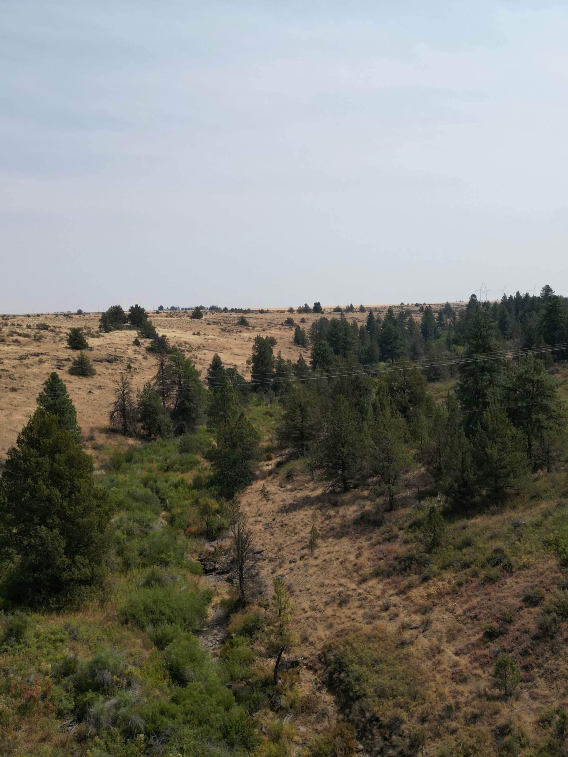 DJI_0398.jpg
