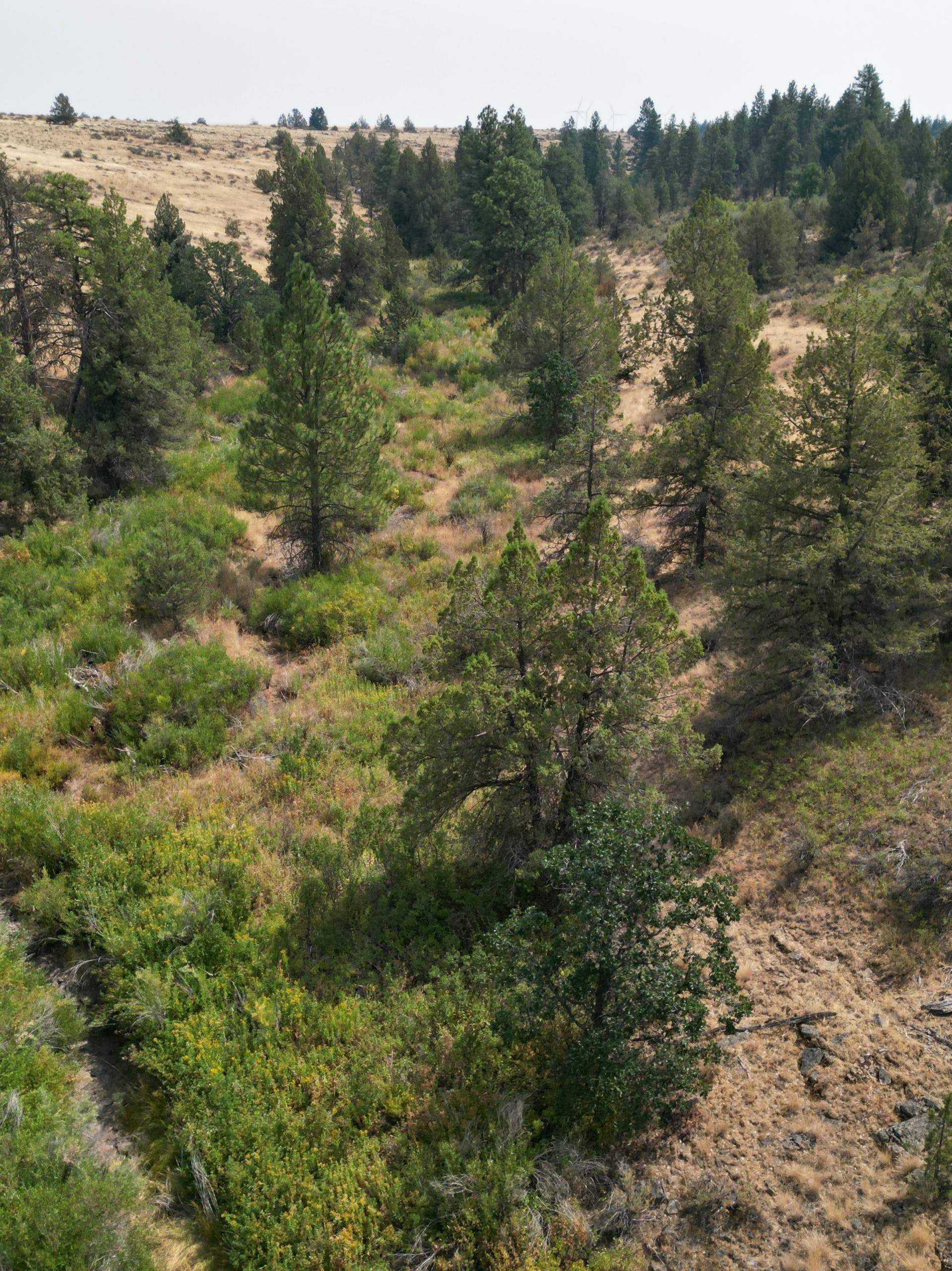 DJI_0402_1.jpg