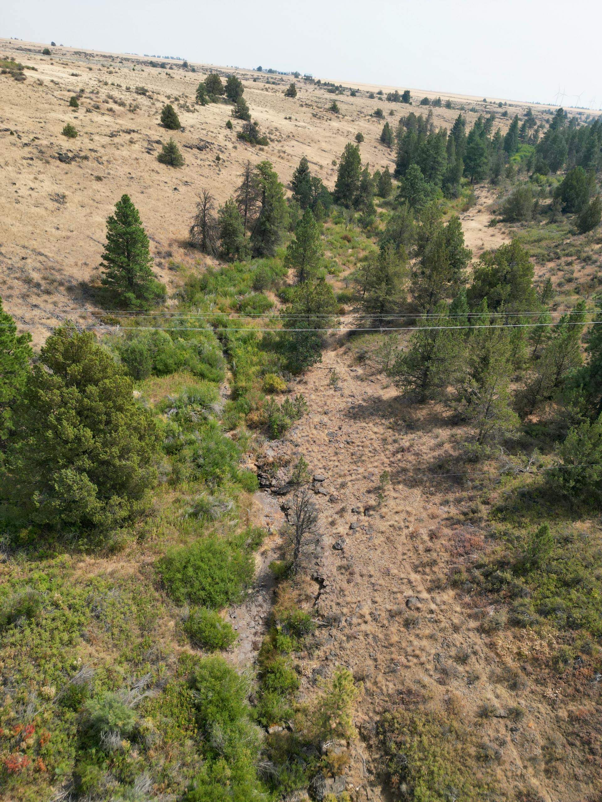 DJI_0400.jpg