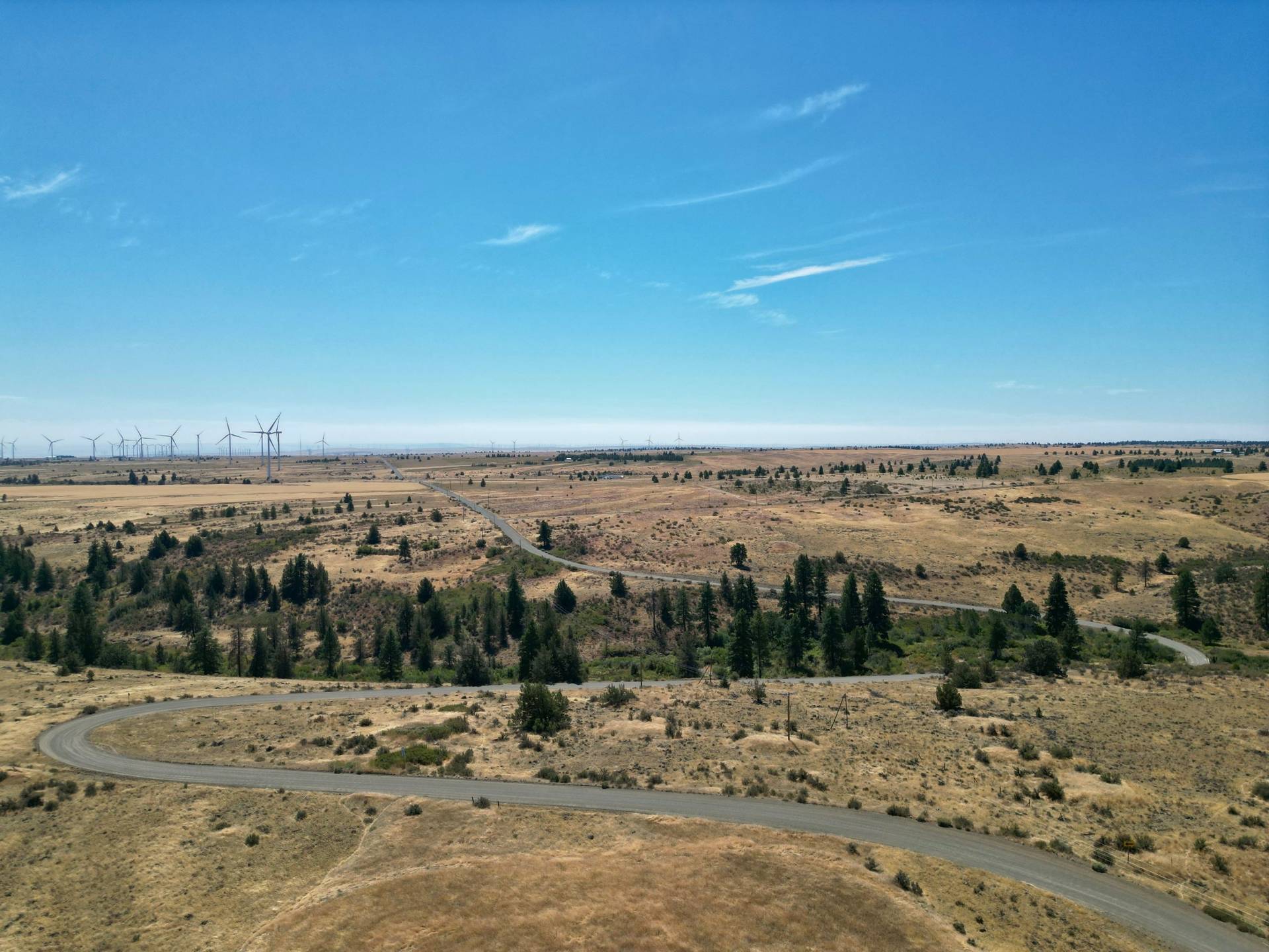 DJI_0362.jpg