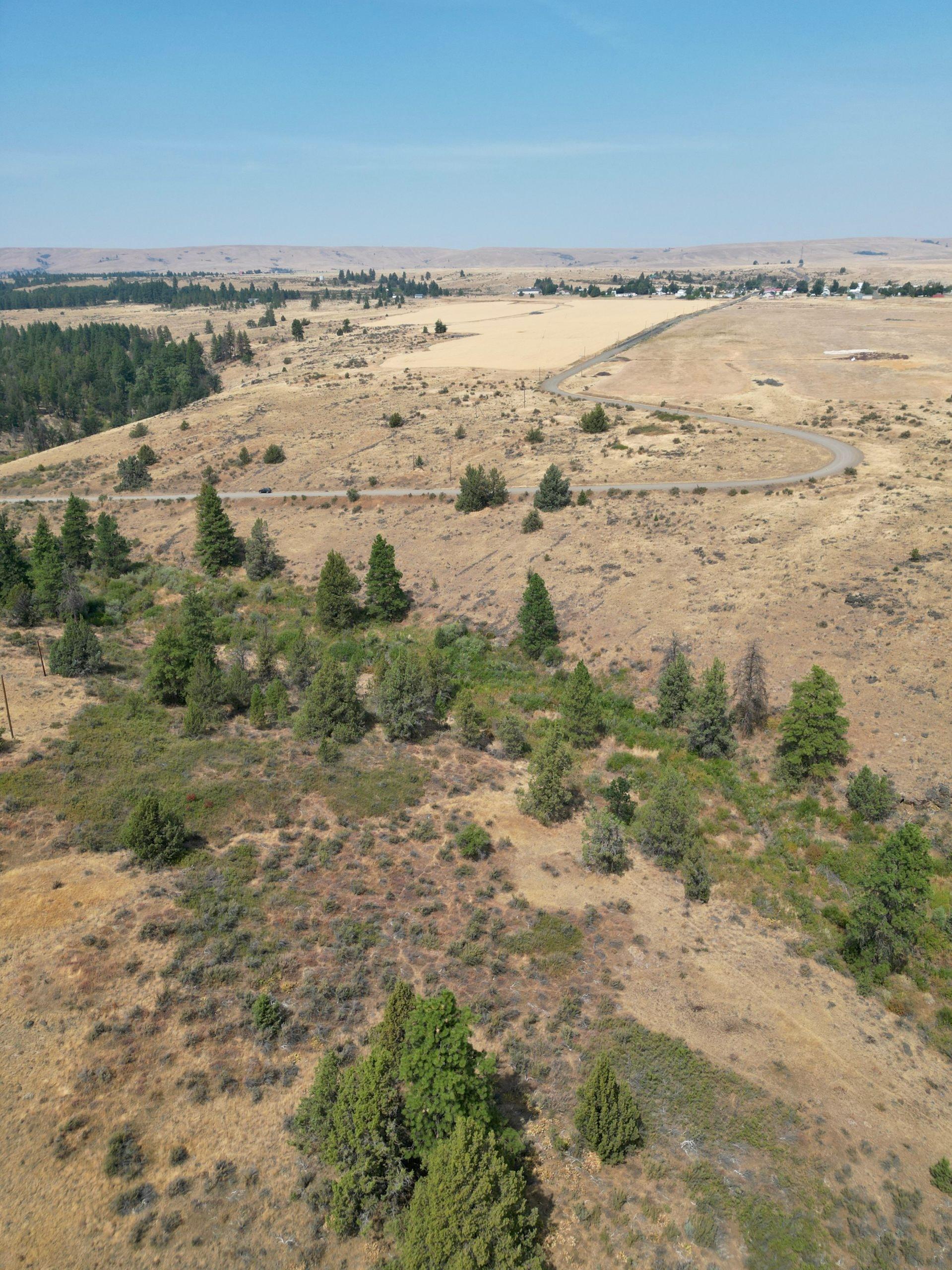 DJI_0423.jpg
