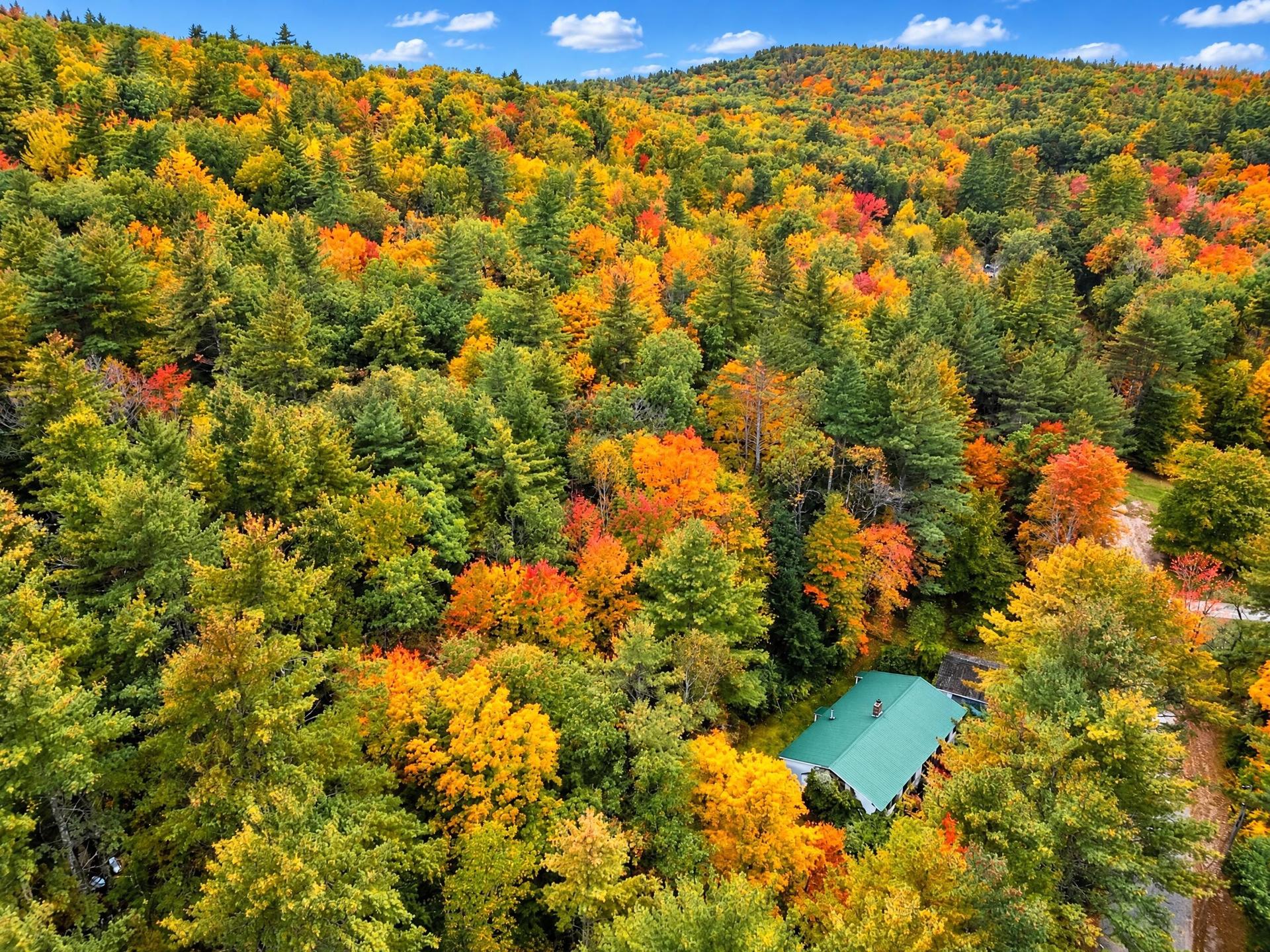 DJI_0309.jpg